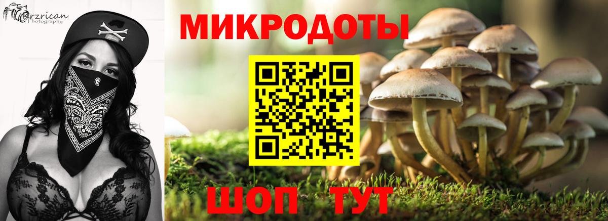 Галлюциногенные грибы Psilocybine cubensis  Вход с VPN  сколько стоит  Пыть-Ях 